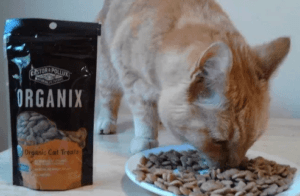 Organic Cat food