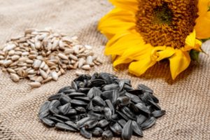 Sunflower seeds.jpg
