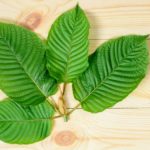 How to use Kratom for Alcohol Withdrawal