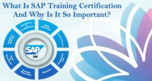 What Are The Career Opportunities After Completing SAP Certification?