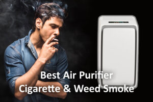 How Air Purifiers Protect You From Second-hand Smoke