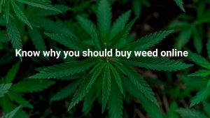 Know why you should buy weed online