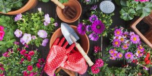 7 Essential Gardening Tools You Can’t Live Without