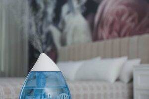 How to Purchase the Correct Cool Mist Humidifiers for Bedroom Quiet