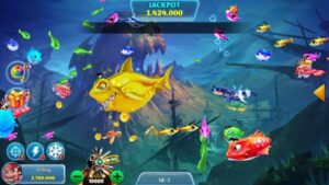 All You Need To Know About Online Fish Table Games