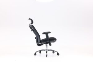 Improving Your Health and Productivity with Sihoo Ergonomic Chairs