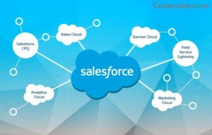 Salesforce Managed Services for Streamlining Business Processes
