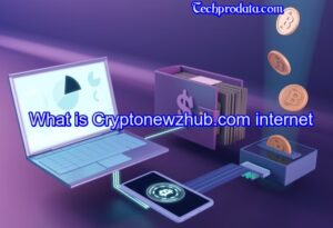 What is Cryptonewzhub.com internet